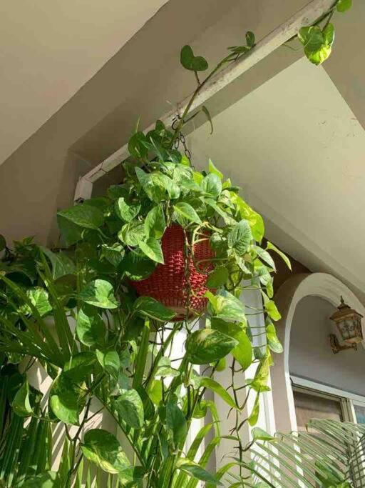 Furnished Villa Near Airport, Away From City Bhopal Exterior foto